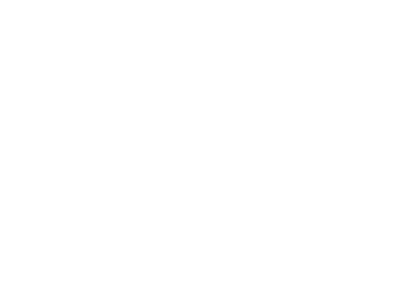 Lorelay Construction